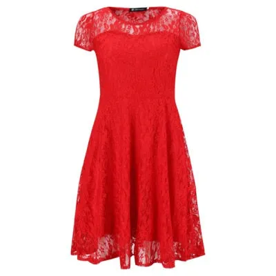 Sexy Print O-Neck Lace Dresses Women Vintage Short Sleeve Hollow Out Summer Dress Female Fashion A-Line Party Dress For Ladies